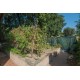Properties for Sale_BEAUTIFUL TYPICAL HOUSE RENOVATED FOR SALE IN THE MARCHE, in Italy, restored farmhouse with pool and garden in Le Marche_35